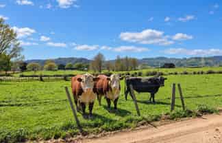 5661 State Highway 26, Te Aroha