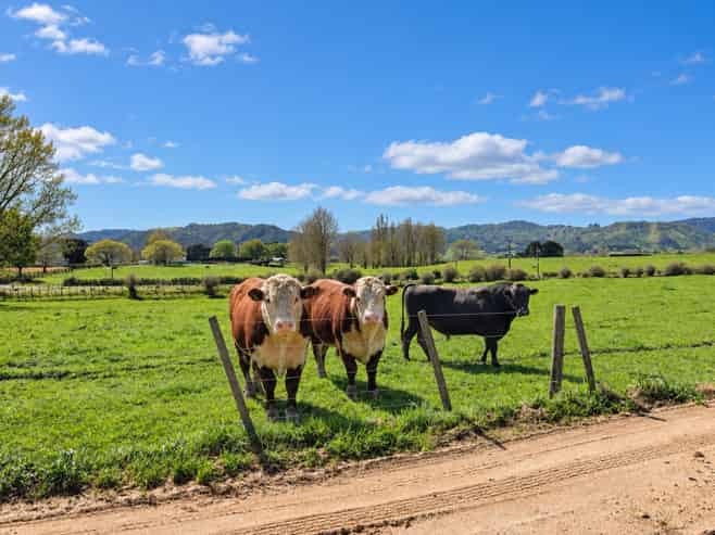 5661 State Highway 26, Te Aroha