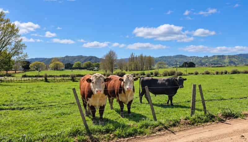 5661 State Highway 26, Te Aroha