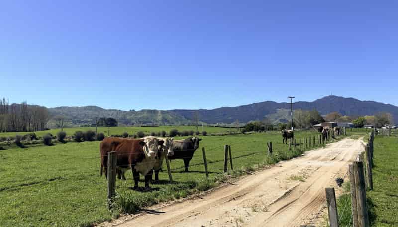 5661 State Highway 26, Te Aroha