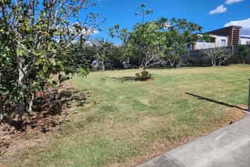 Auckland - Address withheld