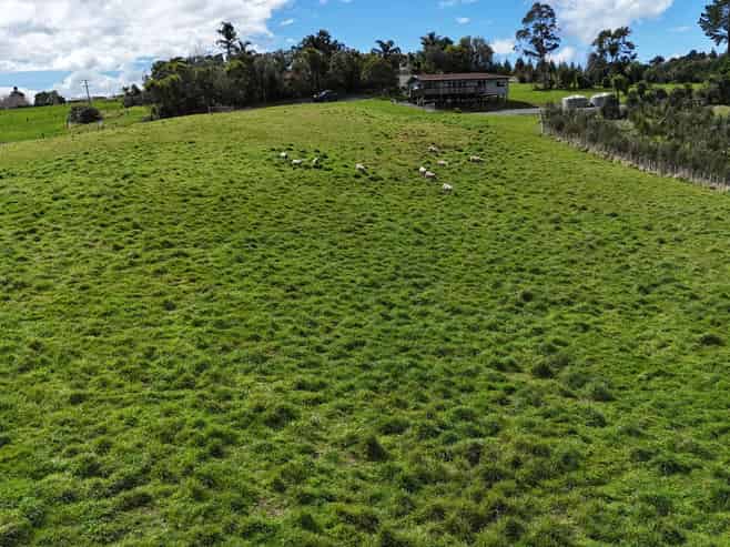 54A Ross Road, Topuni