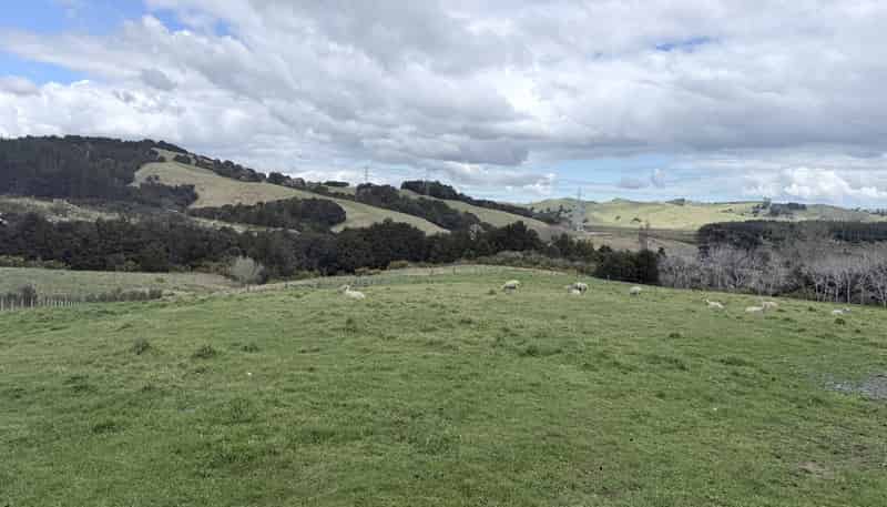 54A Ross Road, Topuni