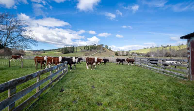 121 Win Valley Road, Dovedale