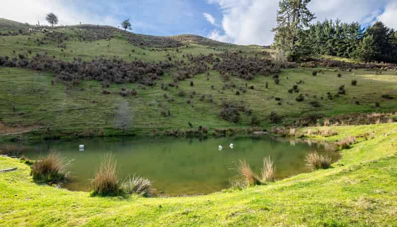 121 Win Valley Road, Dovedale