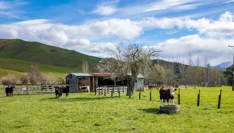 121 Win Valley Road, Dovedale