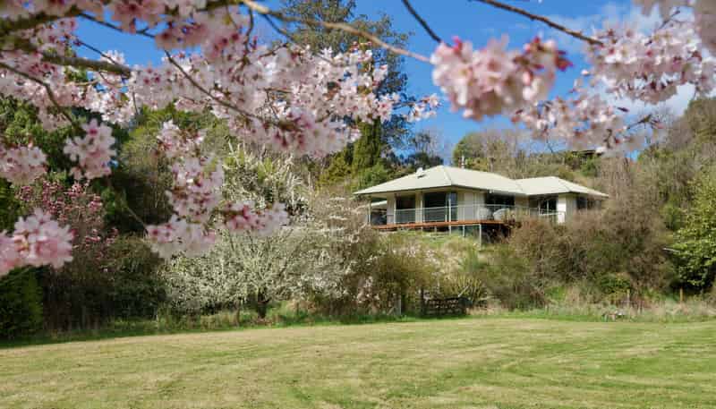 916 Waiwhero Road, Ngatimoti