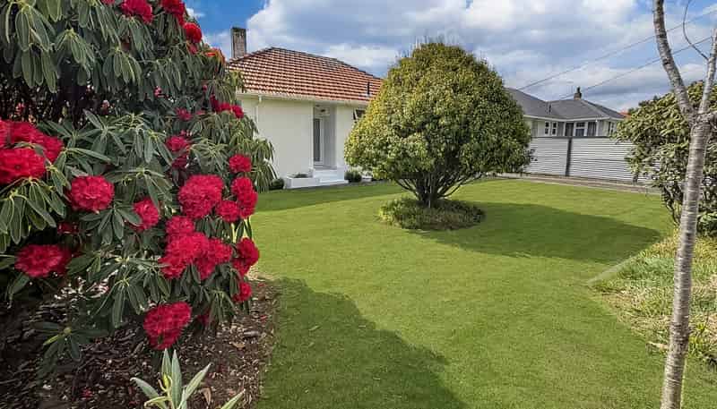 5 Dorset Street, Levin