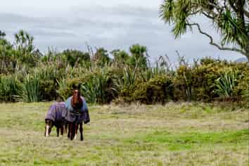 Lot 1 Tasman Way, Ross