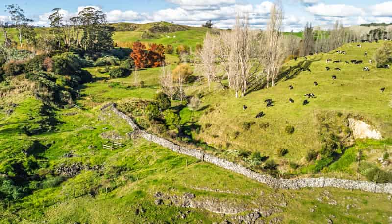 63B Ludbrook Road, Pakaraka