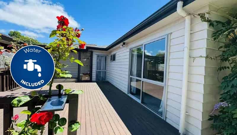 55A Mirrabooka Avenue, Botany Downs
