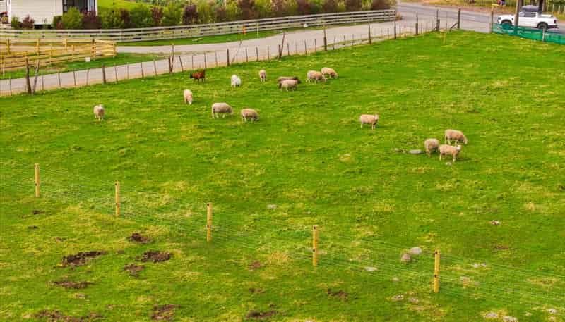 Lot 2, 759 Chester Road, West Taratahi