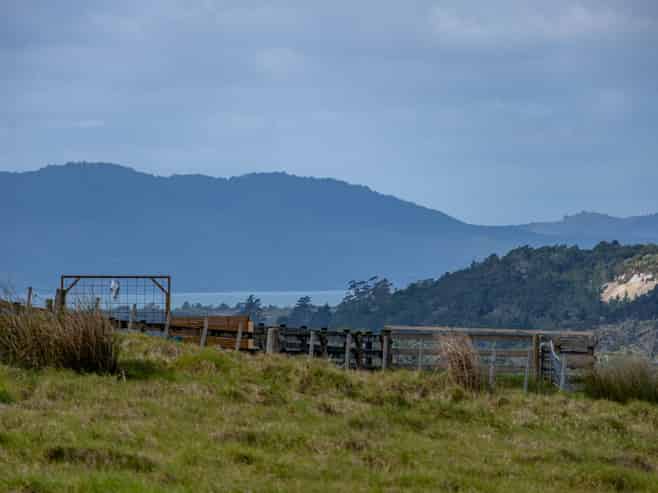 164 Tahanga Road, Karikari Peninsula