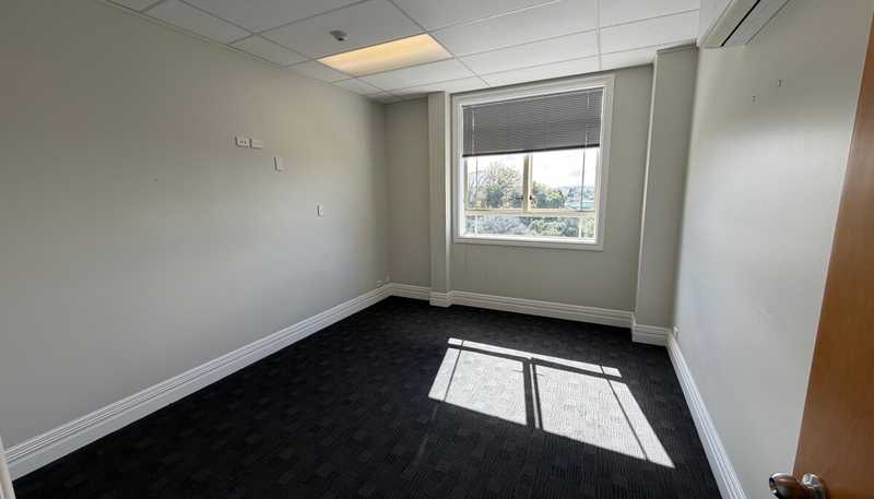 Part Level 2, 20 Alma Street, Hamilton Central
