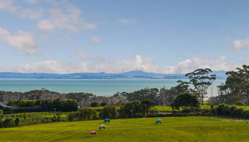 425 Clarks Beach Road, Waiau Pa