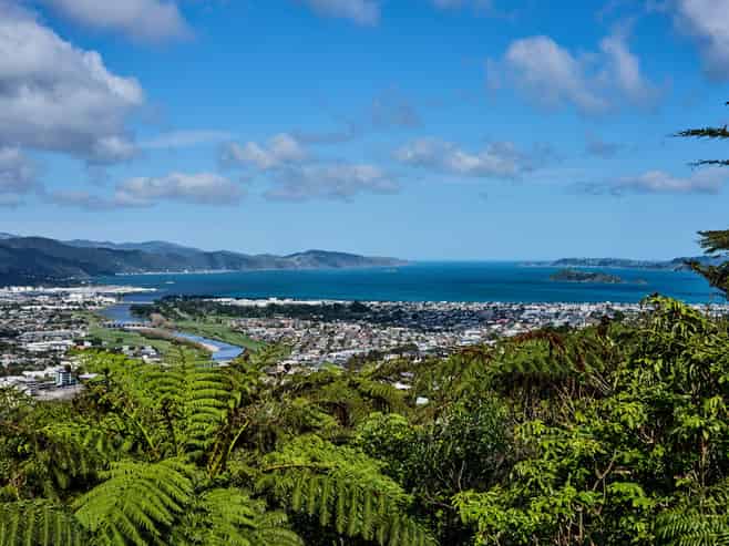21 Arahiwi Grove, Tirohanga