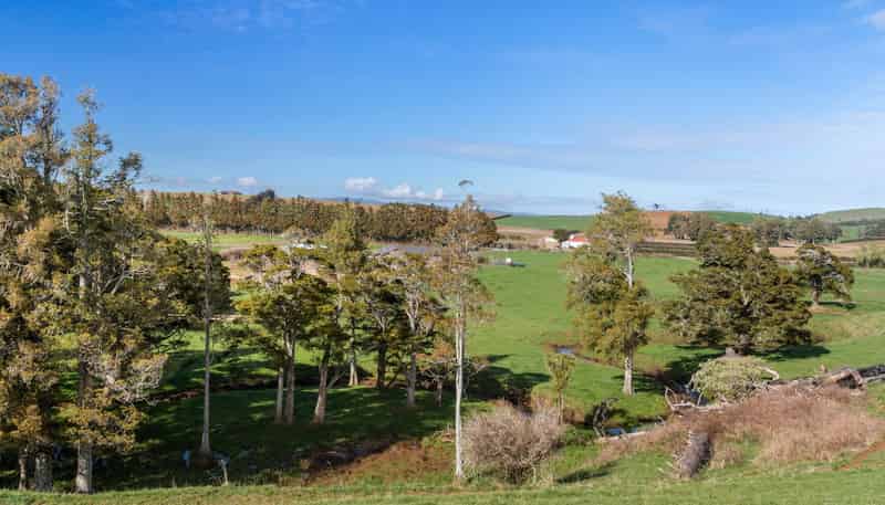 678 Waiuku Road, Pukekohe