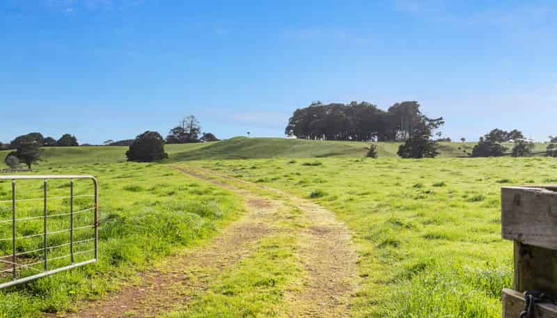678 Waiuku Road, Pukekohe