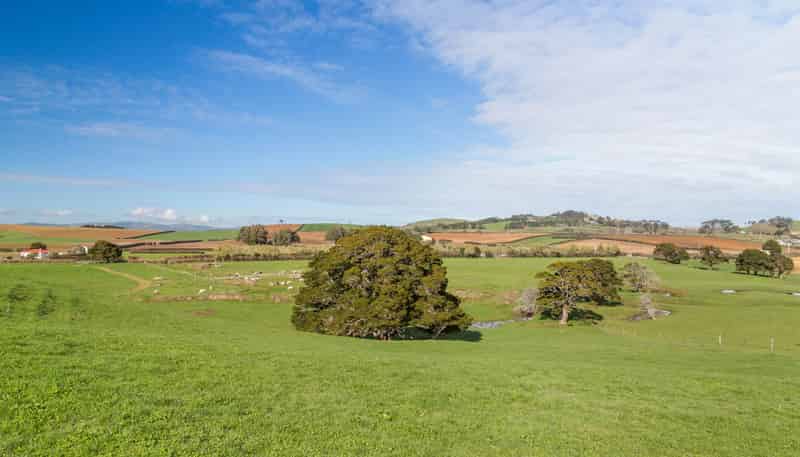 678 Waiuku Road, Pukekohe
