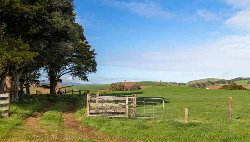 678 Waiuku Road, Pukekohe