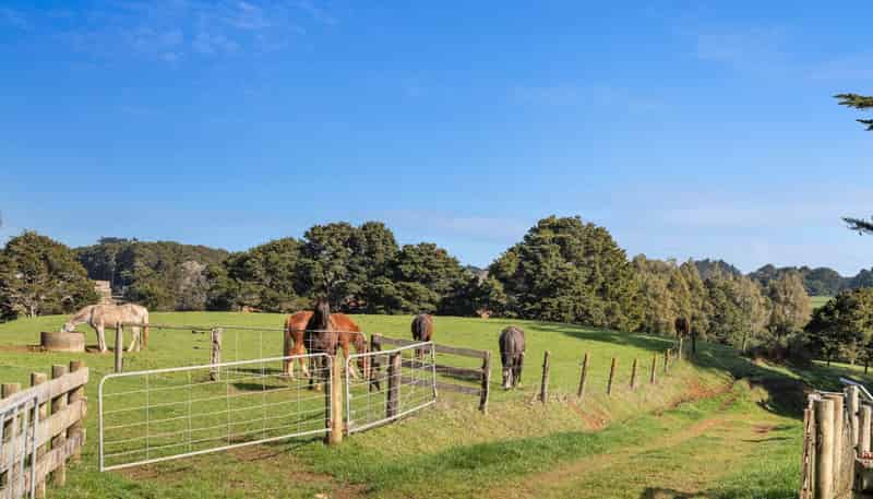 678 Waiuku Road, Pukekohe
