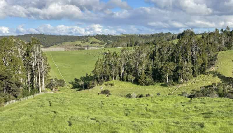 140 Te Arai Point Road, Te Arai