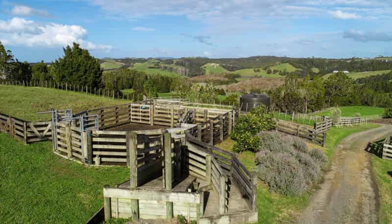 140 Te Arai Point Road, Te Arai