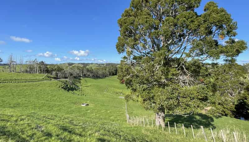 140 Te Arai Point Road, Te Arai