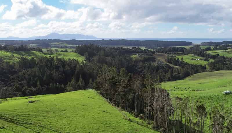 140 Te Arai Point Road, Te Arai