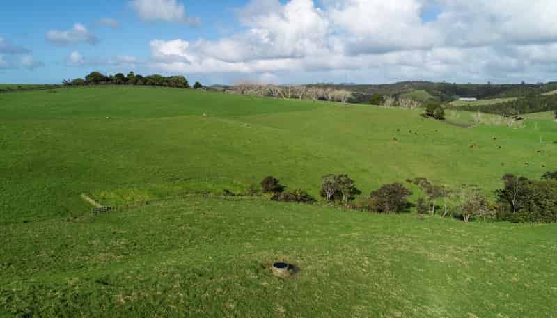140 Te Arai Point Road, Te Arai