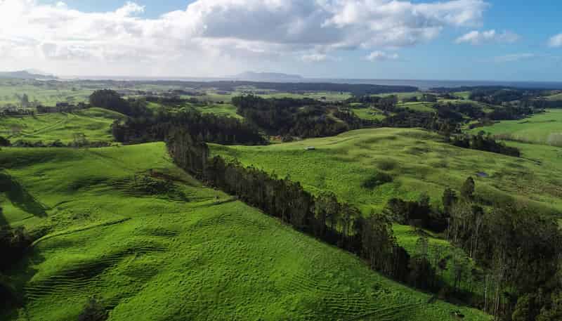140 Te Arai Point Road, Te Arai