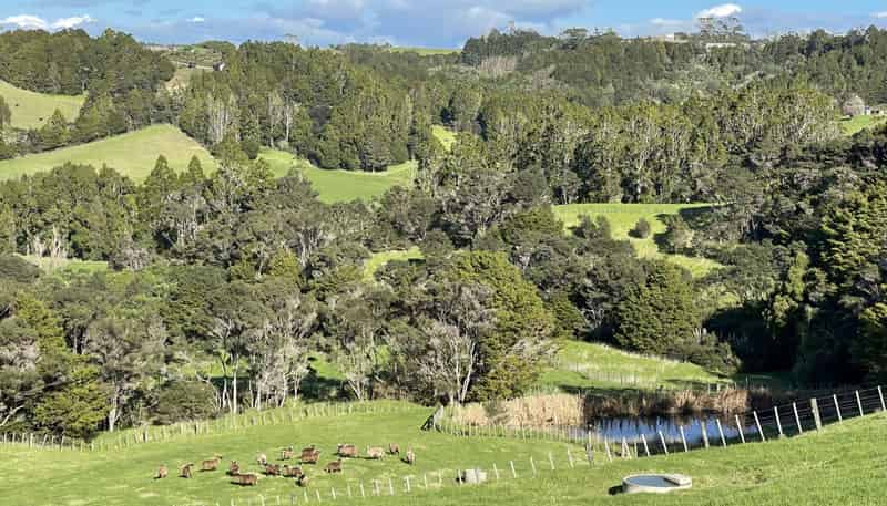 140 Te Arai Point Road, Te Arai