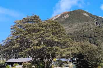 Arthur’s Pass Alpine Motel - FHGC
