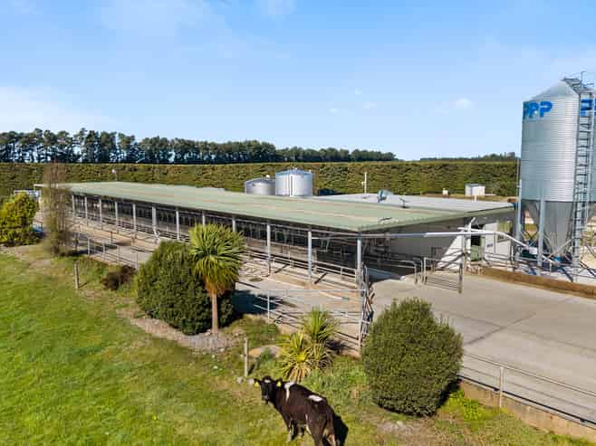 317 South Two Chain Road, Dunsandel