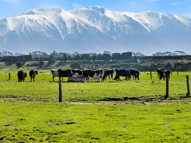 317 South Two Chain Road, Dunsandel