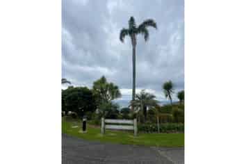 9 Palm View Terrace Whangaparāoa, Gulf Harbour