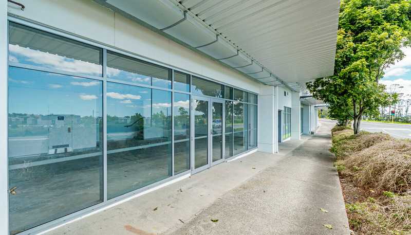 21 Fred Taylor Drive, Massey