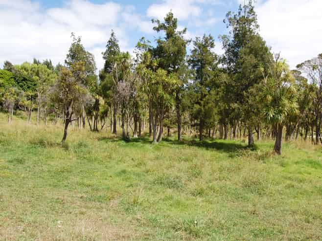 135 Phillips Road, Kaiwaka