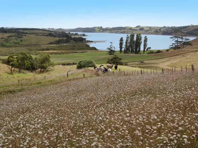 135 Phillips Road, Kaiwaka