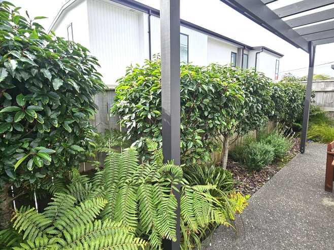 7B Chamberlain Road, Karori