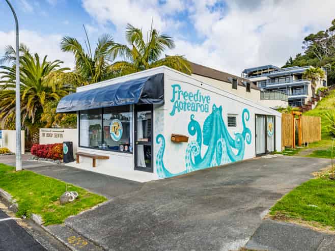 Coastal Landholding - Premium Potential in Paihia