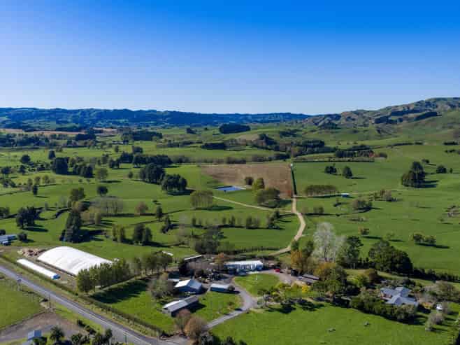 141 Te Mata Road, Raglan