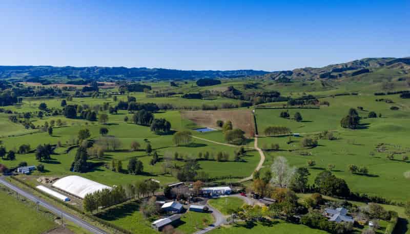 141 Te Mata Road, Raglan