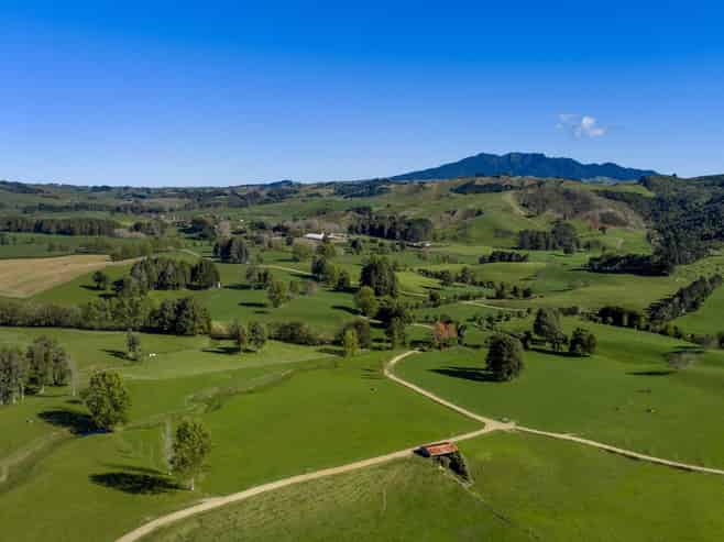 141 Te Mata Road, Raglan