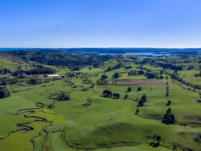 141 Te Mata Road, Raglan