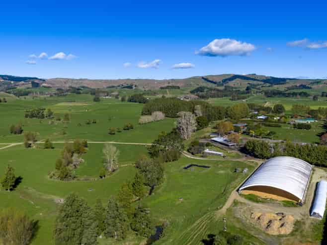 141 Te Mata Road, Raglan