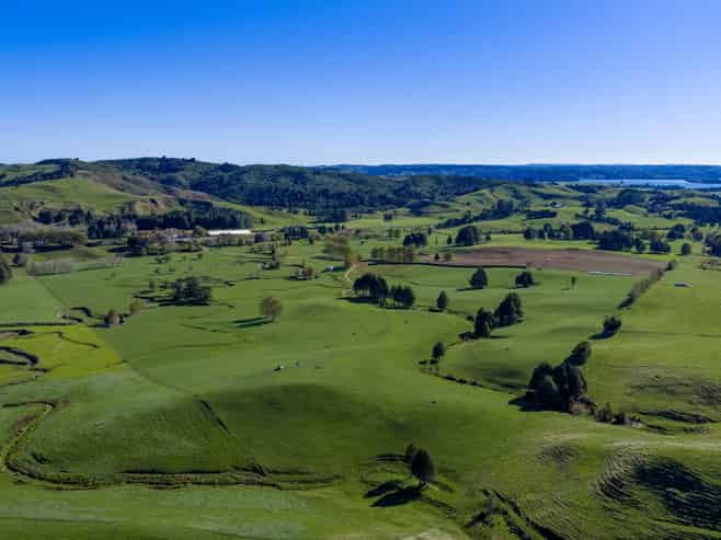 141 Te Mata Road, Raglan