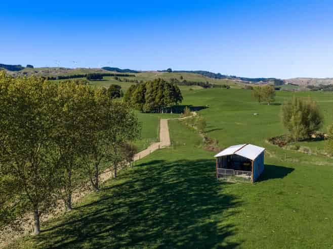 141 Te Mata Road, Raglan