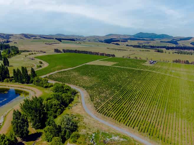 Lot 3 Willow Lane, Martinborough
