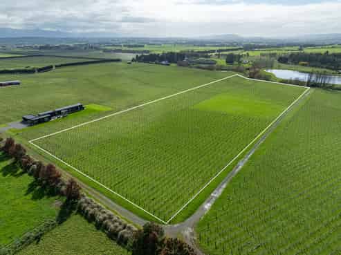 Lot 3 Willow Lane, Martinborough